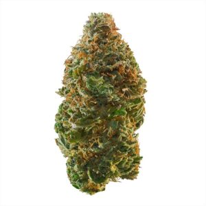 Trainwreck