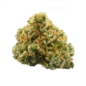 Velvet Bud